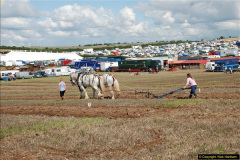 0791.GDSF-2015.-Early.-791-