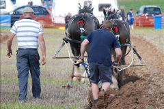 0807.GDSF-2015.-Early.-807-