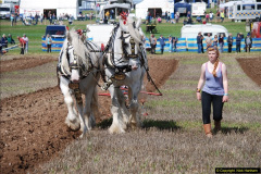 0816.GDSF-2015.-Early.-816-