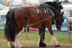 105.GDSF-2015.-Late.-105-