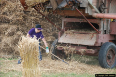 537.GDSF-2016.-Early.-537-
