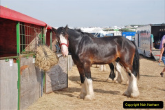 0513.2017-08-28-GDSF-Early.-513-