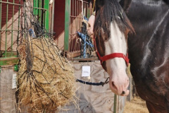 0514.2017-08-28-GDSF-Early.-514-