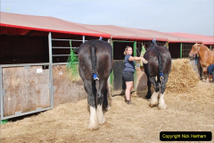 0517.2017-08-28-GDSF-Early.-517-