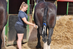 0518.2017-08-28-GDSF-Early.-518-