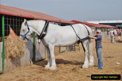 0521.2017-08-28-GDSF-Early.-521-