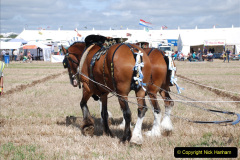 561.GDSF-2019.-Early.-561-