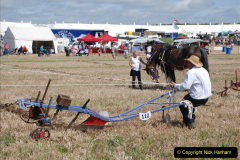 562.GDSF-2019.-Early.-562-