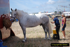 614.GDSF-2019.-Early.-614-