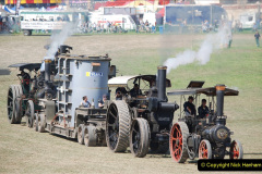 801.GDSF-2019.-Early.-801-