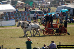 066.GDSF-2019.-Late-66-
