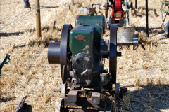 397.GDSF-2022.-Early.-397-