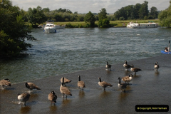 2012-08-18 Hambleden Lock, River Thames, Berkshire.  (14)14