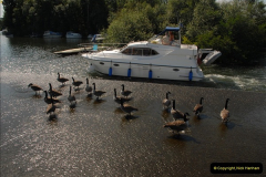 2012-08-18 Hambleden Lock, River Thames, Berkshire.  (15)15
