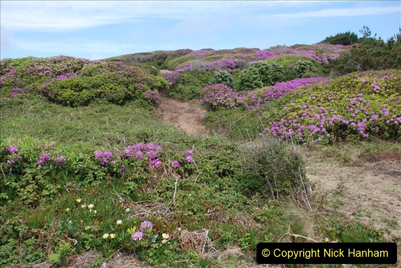 2012-05-27-The-Isles-of-Scilly.-67195