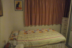 2015-11-04 to 10 Master Bedroom.  (16)085