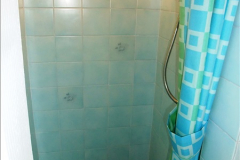 2015-07-19 to 21 Decorating the loo and shower room. (17)550