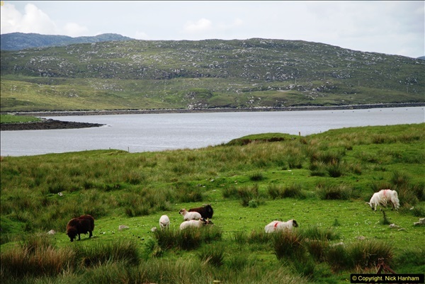 2014-06-10 Lewis - Harris & Faroe Islands. (145)173