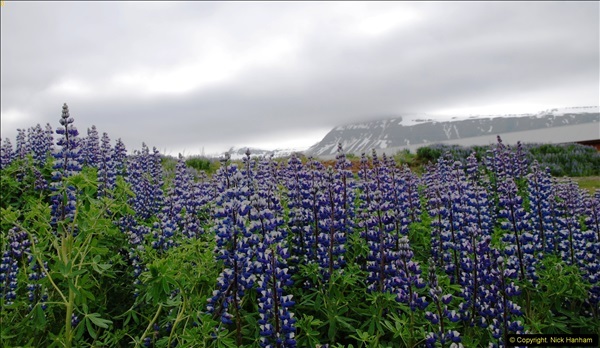 2014-06-12 Iceland. (124)124