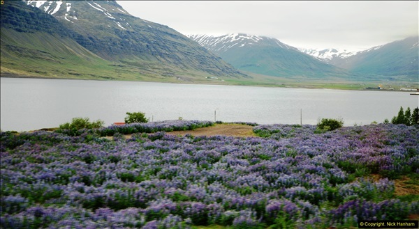 2014-06-12 Iceland. (79)79