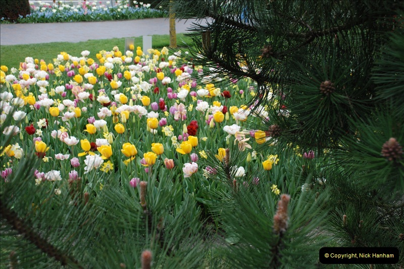 2012-04-26 Keukenhof Gardens.  (44)44