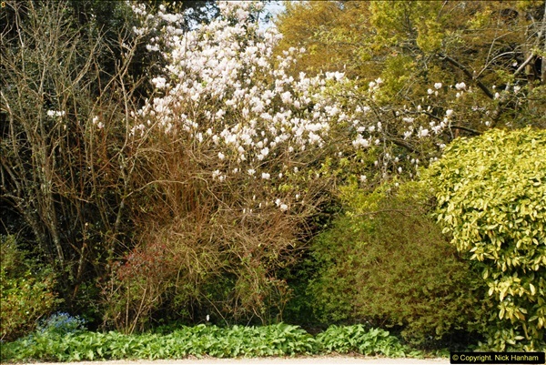 2015-04-17 Minterne Magna Gardens, Dorset.  (14)014