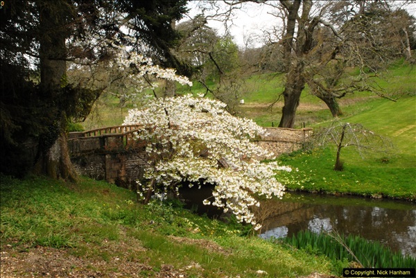 2015-04-17 Minterne Magna Gardens, Dorset.  (166)166