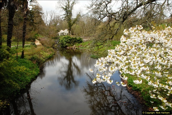 2015-04-17 Minterne Magna Gardens, Dorset.  (168)168
