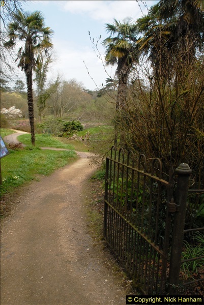 2015-04-17 Minterne Magna Gardens, Dorset.  (173)173