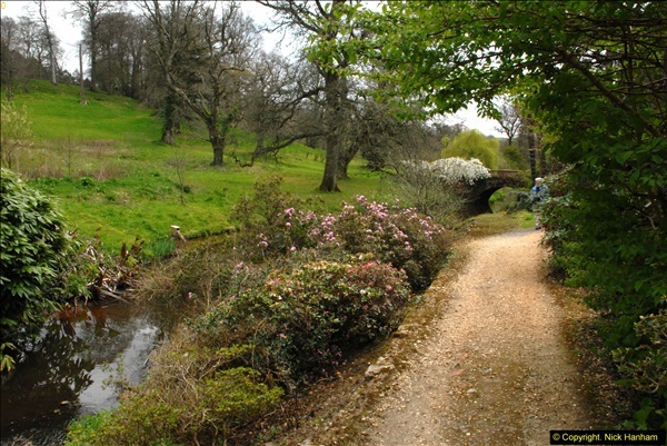 2015-04-17 Minterne Magna Gardens, Dorset.  (178)178