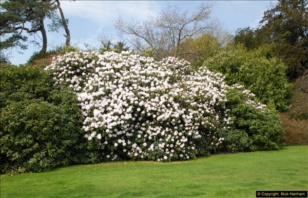 2015-04-17 Minterne Magna Gardens, Dorset.  (21)021