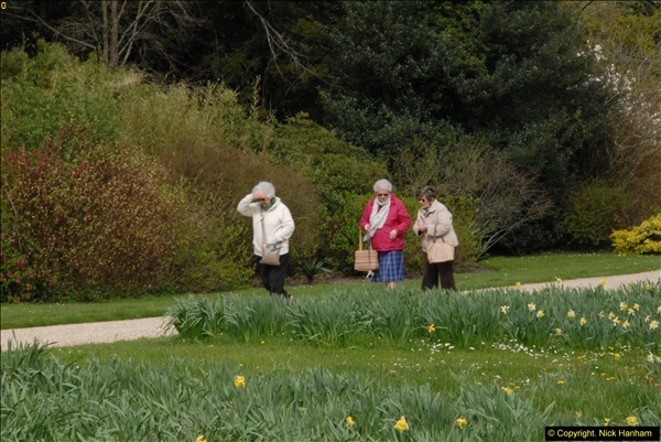 2015-04-17 Minterne Magna Gardens, Dorset.  (25)025