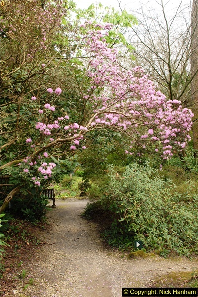 2015-04-17 Minterne Magna Gardens, Dorset.  (93)093
