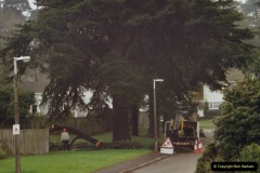 2002-Miscellaneous.-304-Tree-work-opposite-your-Hosts-house.304