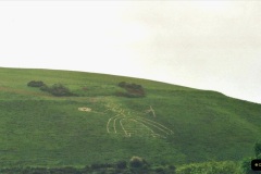 2002-Miscellaneous.-68-Image-cut-into-hill-near-Corfe-castle-Dorset-to-celebrate-The-Queens-Golden-Jubilee.068