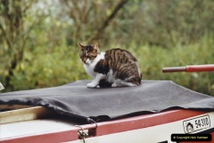 2002-Kennet-Avon-Canal-and-The-River-Avon-narrow-boat-trip-with-friends.-23-Ships-cat.023