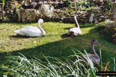 2002-Kennet-Avon-Canal-and-The-River-Avon-narrow-boat-trip-with-friends.-90-Bathampton.-090
