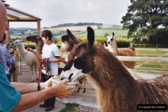 2002-September-04-Taking-Llamas-for-a-Walk.-40-Lunch-time.-40