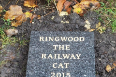 2015-11-04 Ringwood Memorial now completed.  (2)95