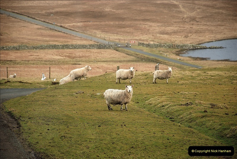 2019-03-27-Lerwick-Shetland-Islands.-195-195