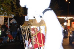 2014-11-12 The Somerset Carnavals - Shepton Mallet (115)115