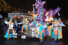 2014-11-12 The Somerset Carnavals - Shepton Mallet (173)173