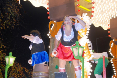 2014-11-12 The Somerset Carnavals - Shepton Mallet (210)210