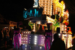 2014-11-12 The Somerset Carnavals - Shepton Mallet (86)086