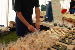 2016-09-11 Sturminster Newton Cheese Festival 2016, Sturminster Newton, Dorset.  (59)059