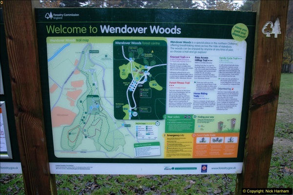 2014-11-21 The Woodland in Winter. Wendover Woods, Buckinhhamshire.  (1)001