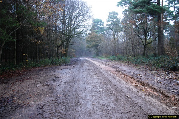 2014-11-21 The Woodland in Winter. Wendover Woods, Buckinhhamshire.  (16)016