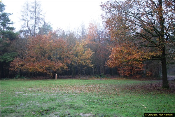 2014-11-21 The Woodland in Winter. Wendover Woods, Buckinhhamshire.  (18)018
