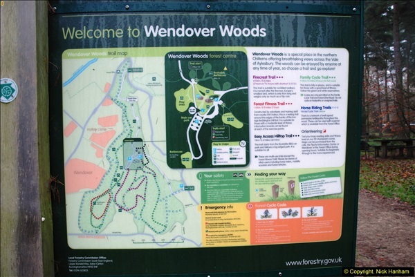 2014-11-21 The Woodland in Winter. Wendover Woods, Buckinhhamshire.  (183)183