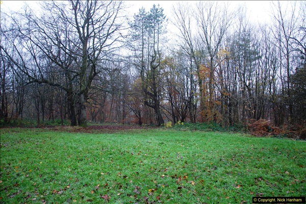 2014-11-21 The Woodland in Winter. Wendover Woods, Buckinhhamshire.  (28)028